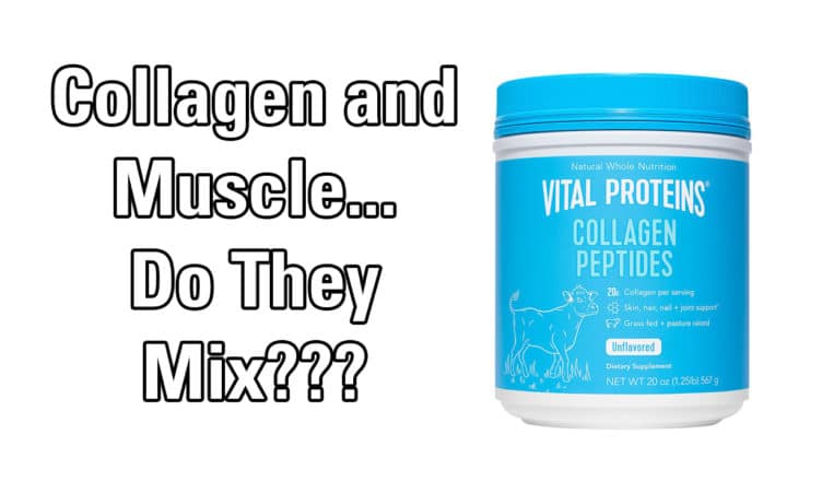 is-collagen-protein-good-for-building-muscle-mindsets-and-reps