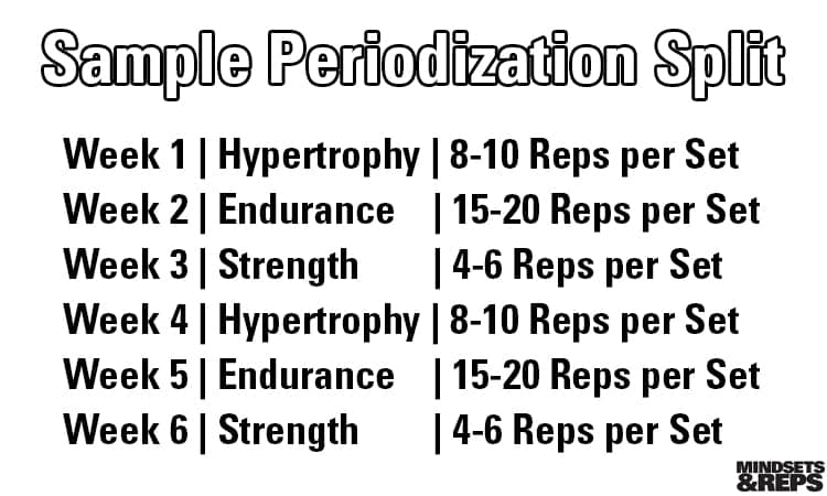 Arm Workout Training Split